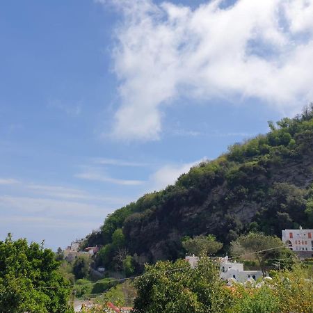 Sweet Home La Chicca Ischia Buitenkant foto