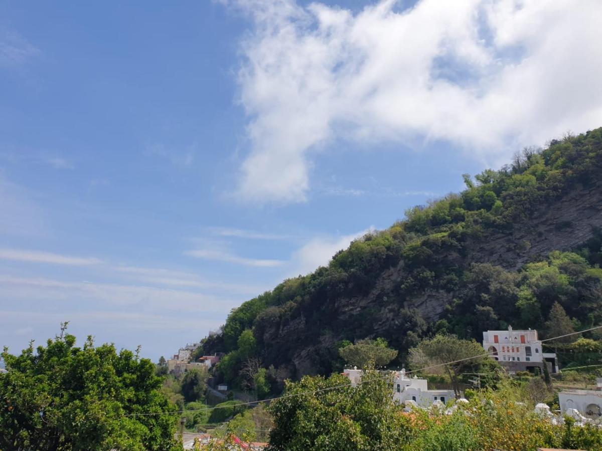 Sweet Home La Chicca Ischia Buitenkant foto