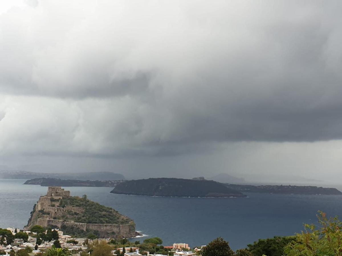 Sweet Home La Chicca Ischia Buitenkant foto